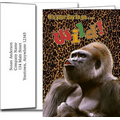 Birthday Greeting Cards w/Imprinted Envelopes